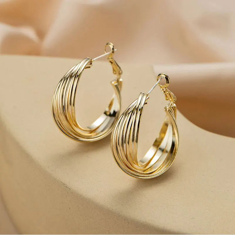 New Circle Twisted Spiral Curved Hoop Earrings