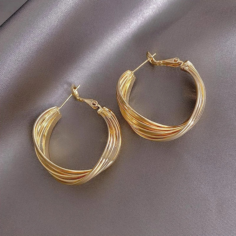 New Circle Twisted Spiral Curved Hoop Earrings