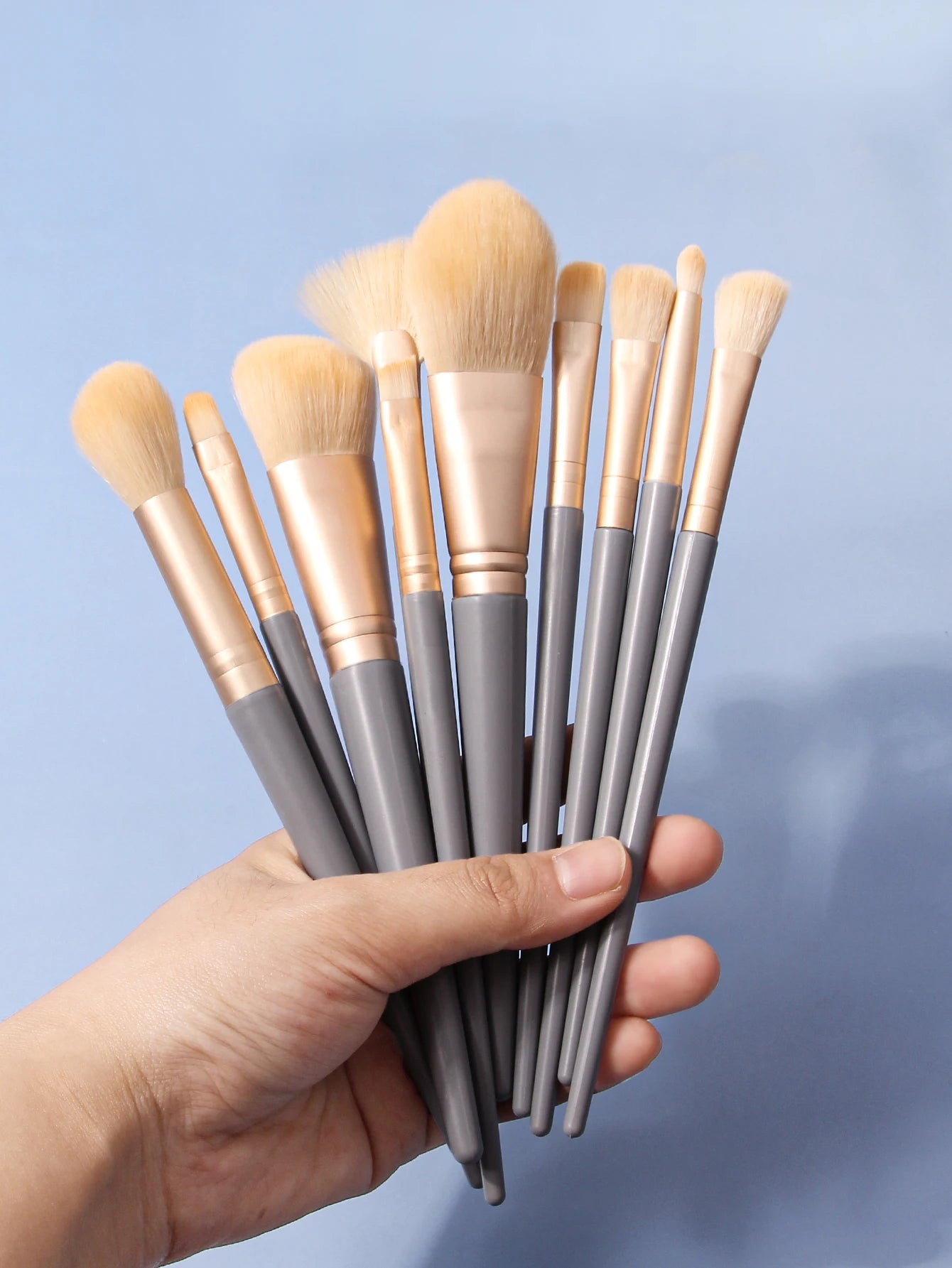 10 Makeup brush Set