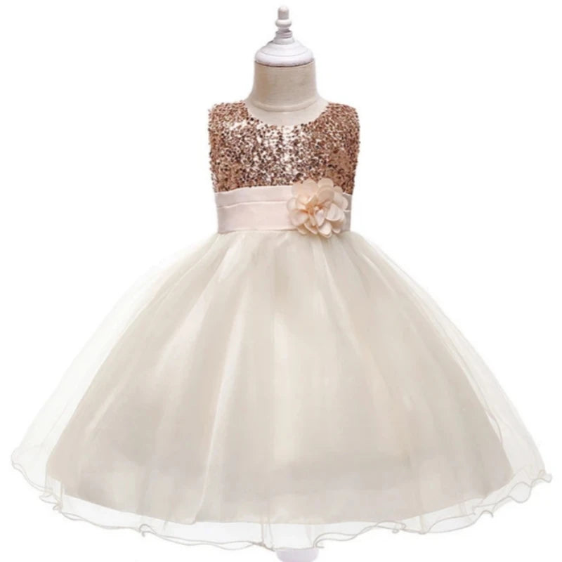 Flower Embroidered Bow Princess Dress
