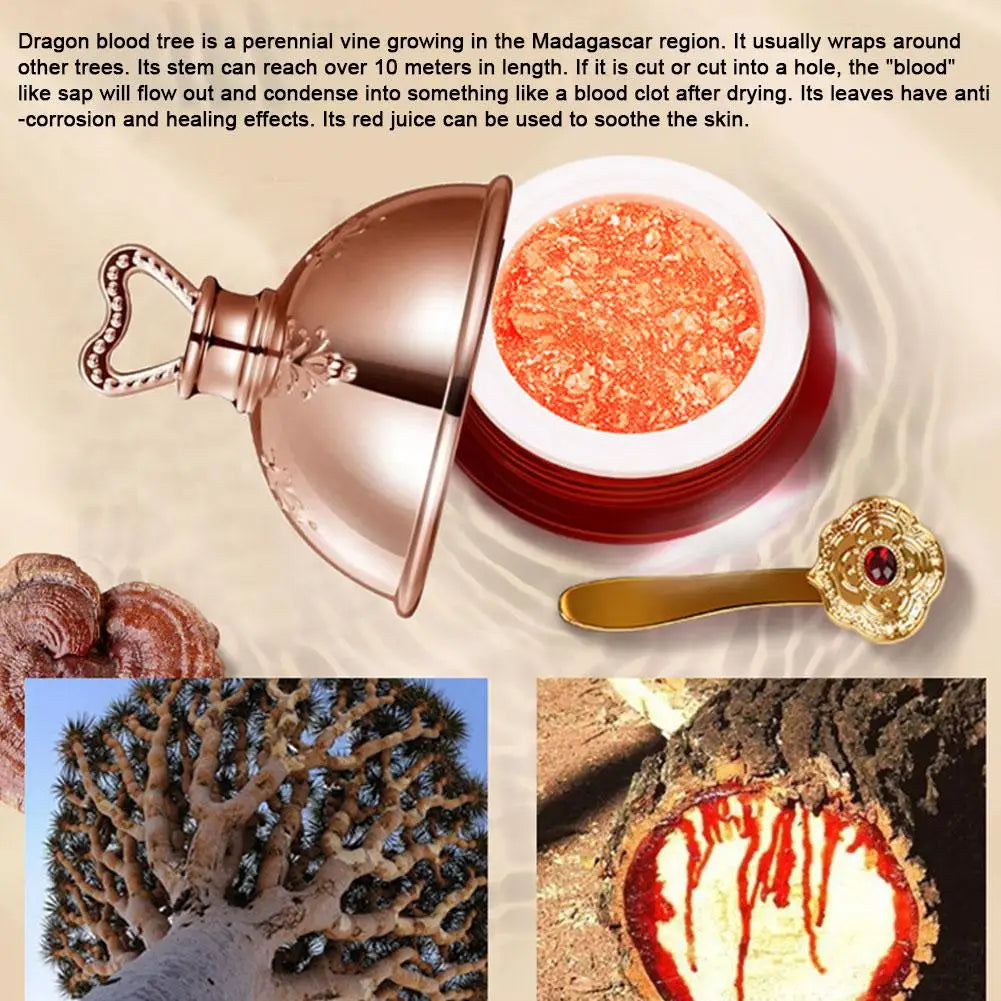 1/3/5 pcs Retinol Dragon Blood Facial Cream