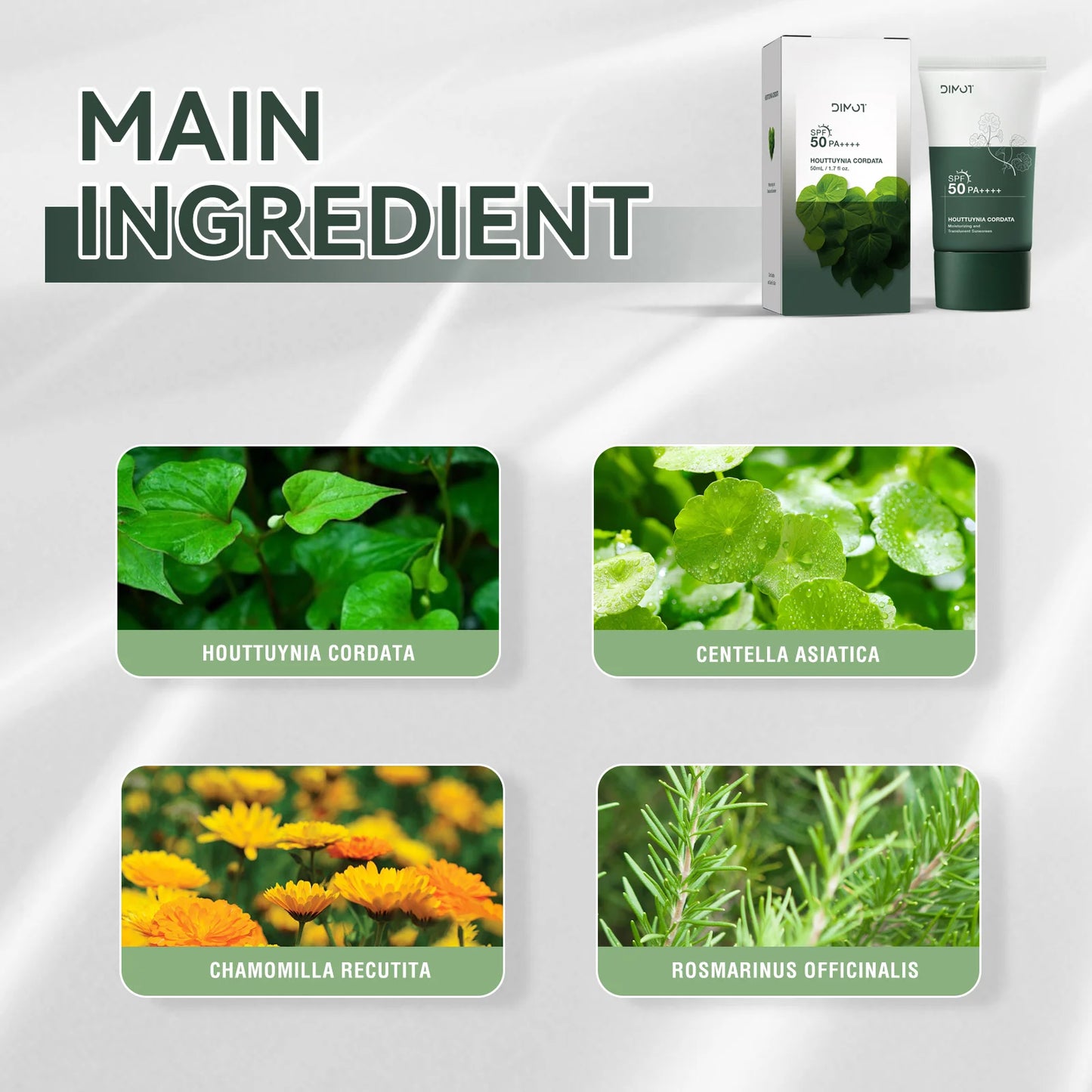 Skin Care Body Facial Sunscreen