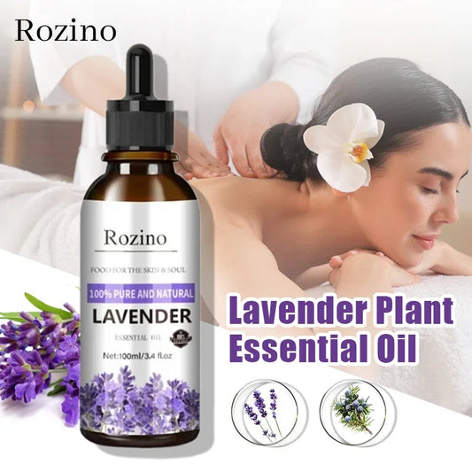 Lavender Plant Essential Oil
