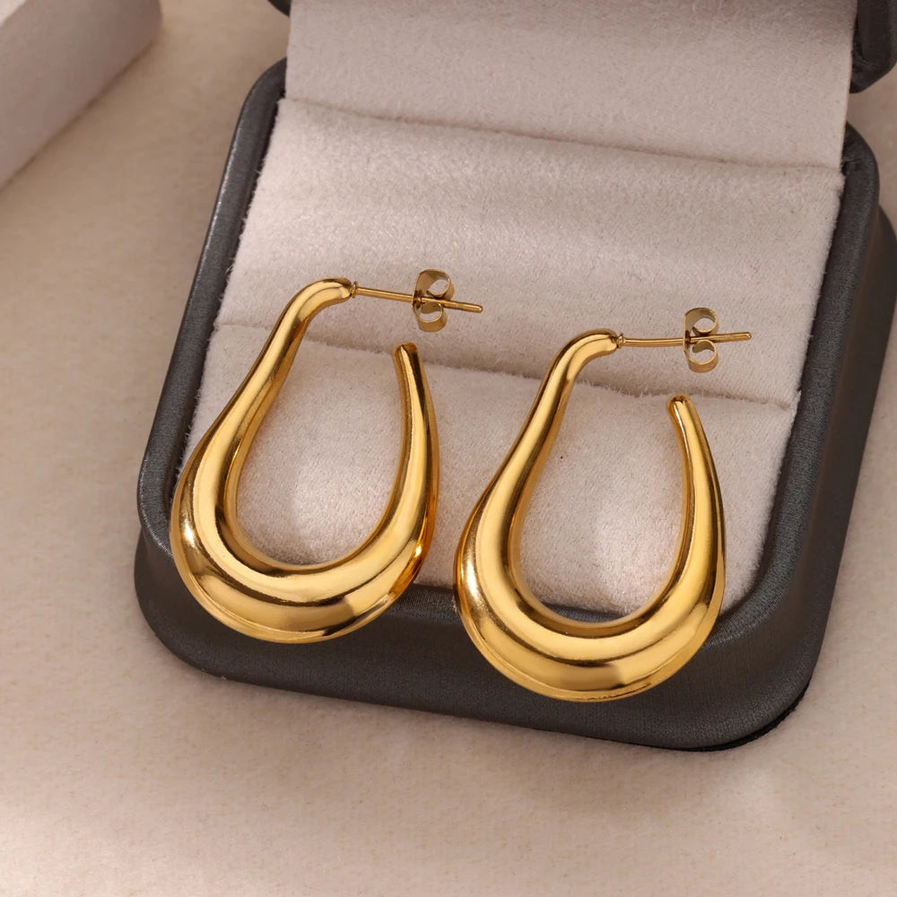 Hollow Curve Big Hook Hoop Earrings